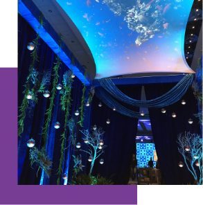 Sublime event design experiential ceiling lighting