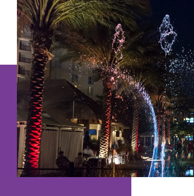 outdoor palms fountain garden